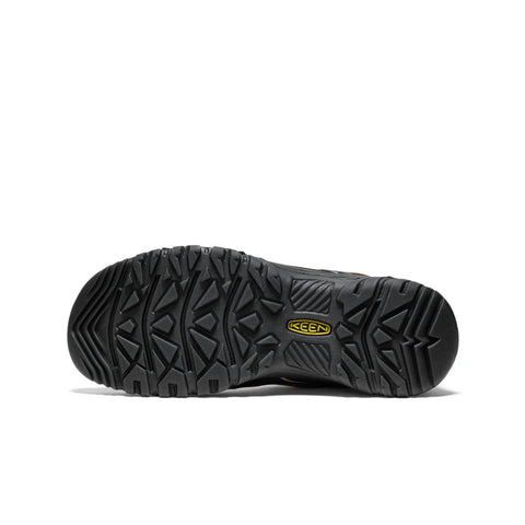 Men's Targhee IV Waterproof Hiking Shoe