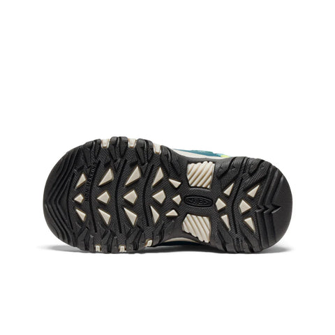 Little Kids' Targhee IV Waterproof Hiking Shoe