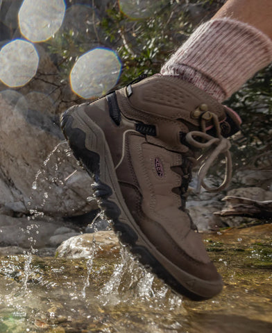 Women's Targhee IV Waterproof Hiking Boot