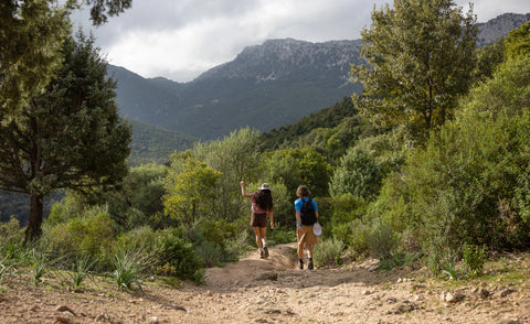 Men's Targhee II Waterproof Hiking Boot x Leave No Trace